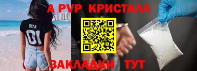 СК Краснознаменск