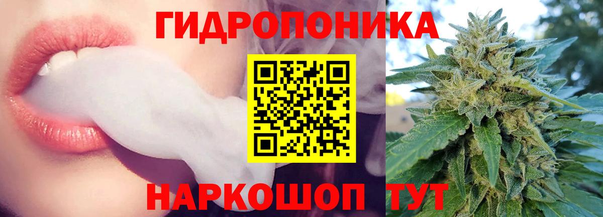 Марихуана план  Конопля White Widow  Вход с VPN  Кандалакша  Марихуана сатива 